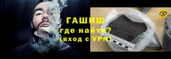 стаф Кулебаки