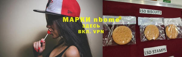 хмурый Краснослободск