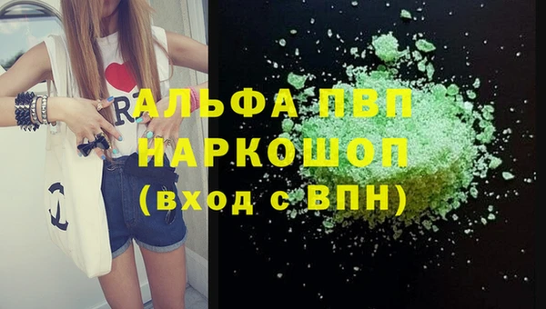 стаф Кулебаки