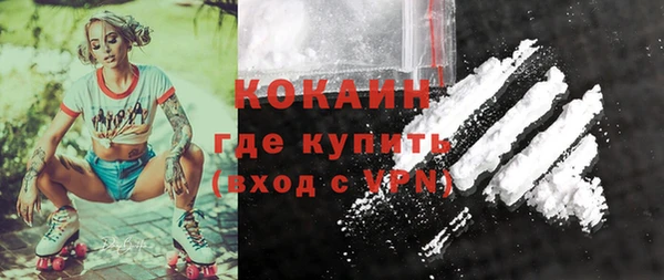 стаф Кулебаки