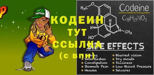 стаф Кулебаки
