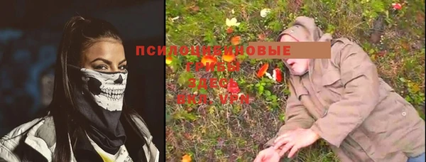 стаф Кулебаки