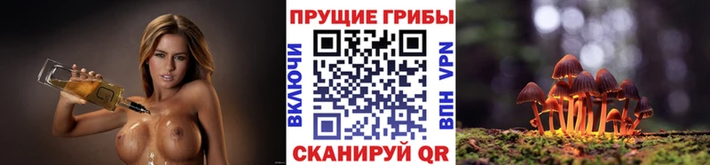 Галлюциногенные грибы GOLDEN TEACHER  где купить наркотик  mega tor  Курчатов 